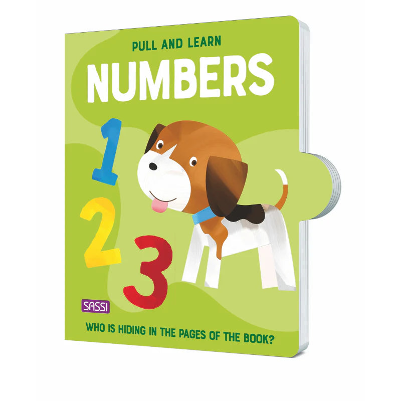 Sassi Pull and Learn Numbers