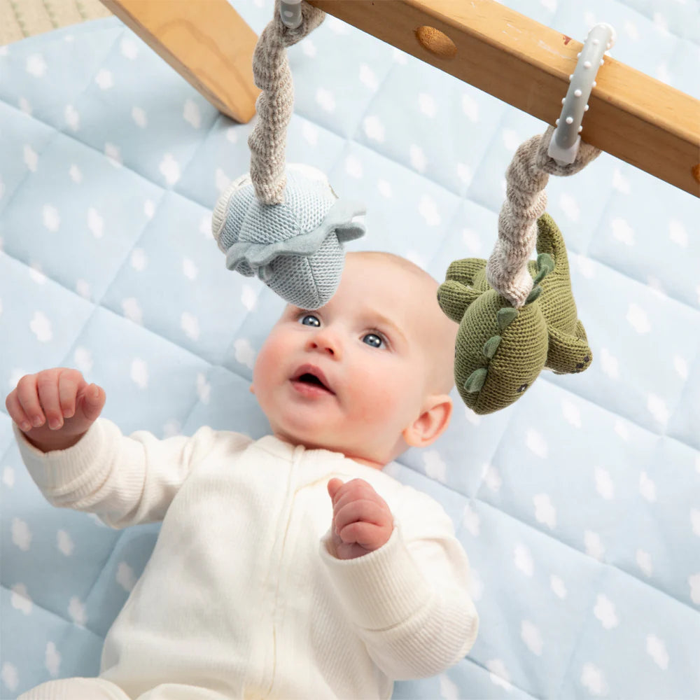 2pk Stroller Toy - Dinosaurs