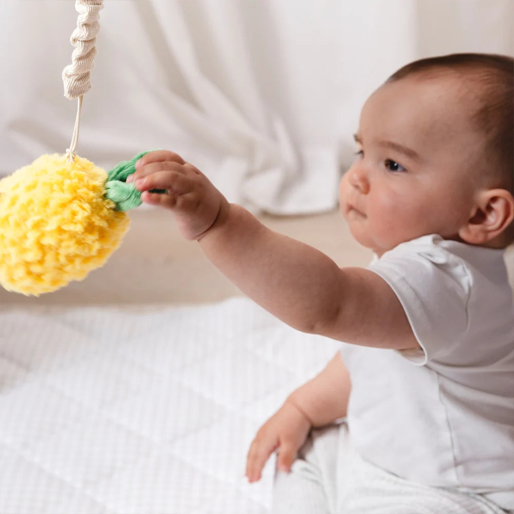 2pk Stroller Toy - Mini market brunch Pineapple & Cherries