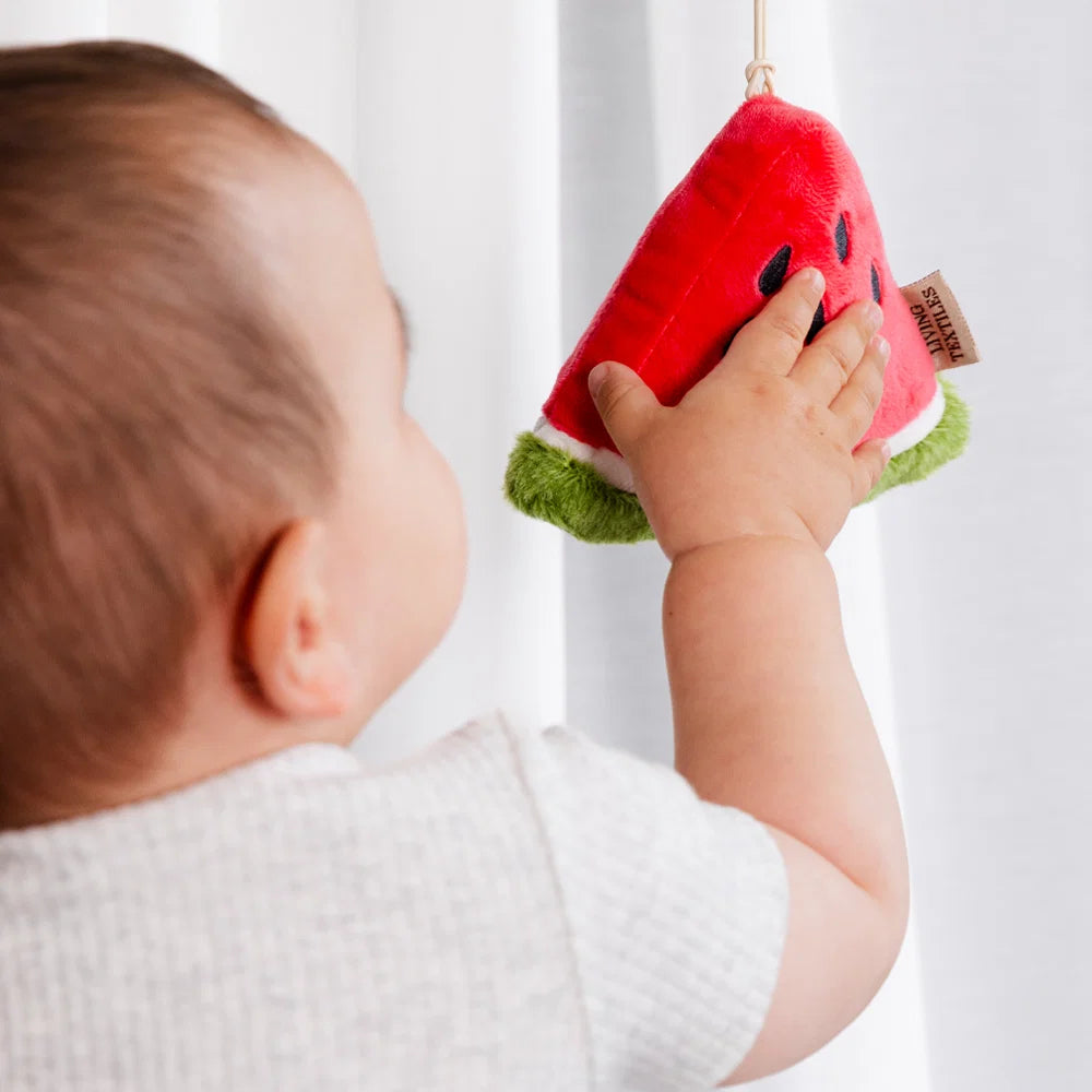 2pk Stroller Toy - Mini market brunch Watermelon & Blueberry