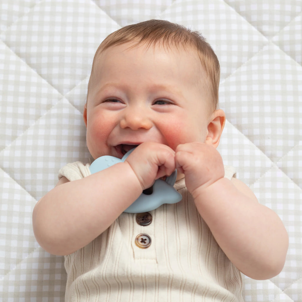 LT 2pk Silicone Teether - Whale & Cloud