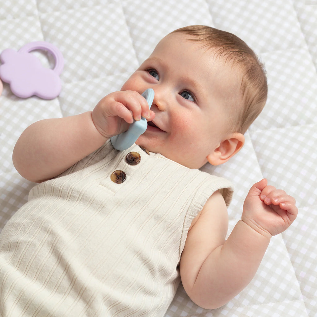 LT 2pk Silicone Teether - Whale & Cloud