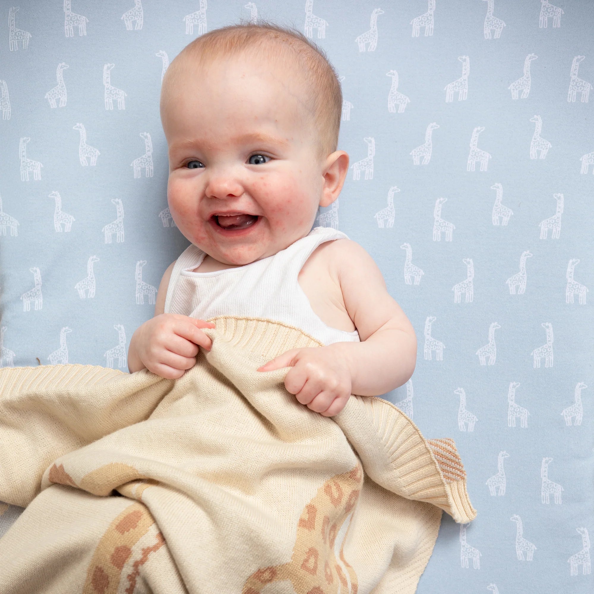 2pk Cot Fitted Sheet - Wild Safari