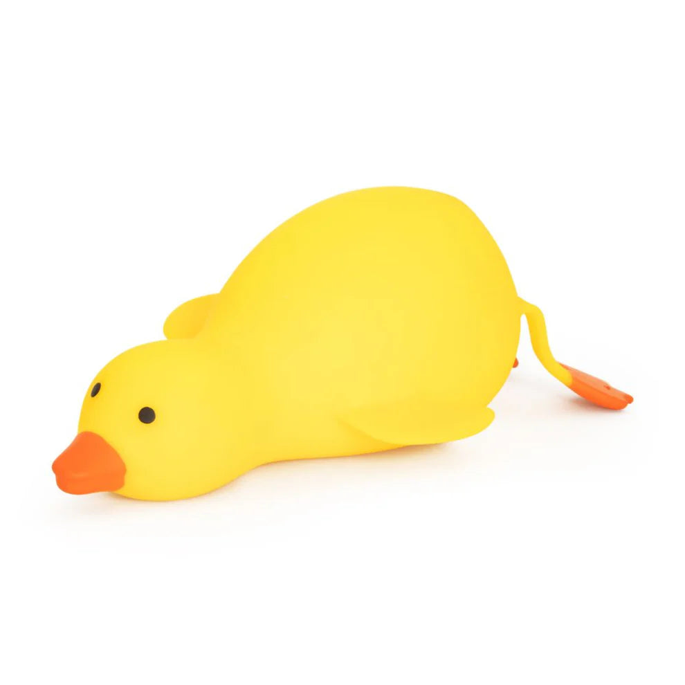 The Big Squij - Duck