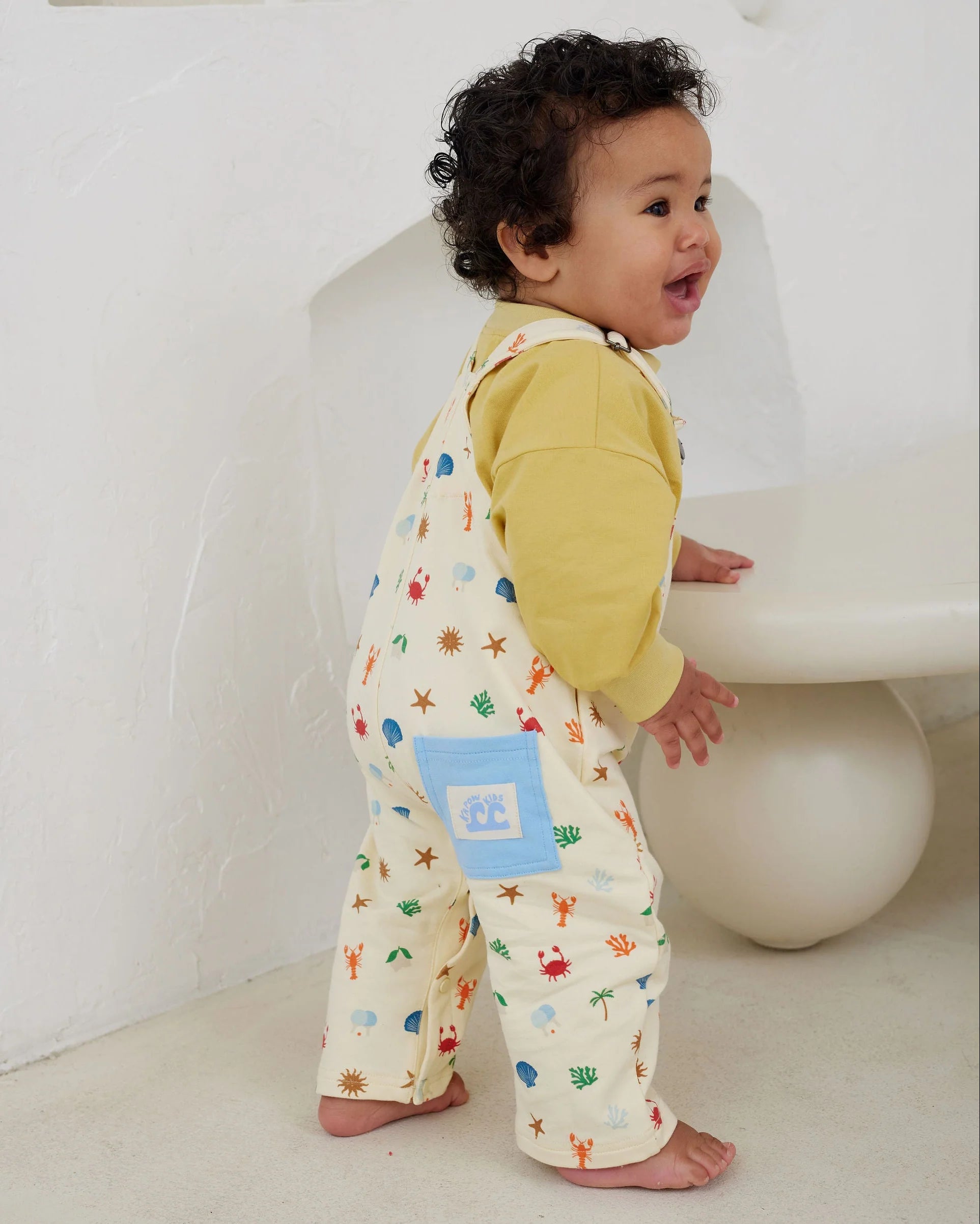 Kapow Kids Endless Summer Overalls