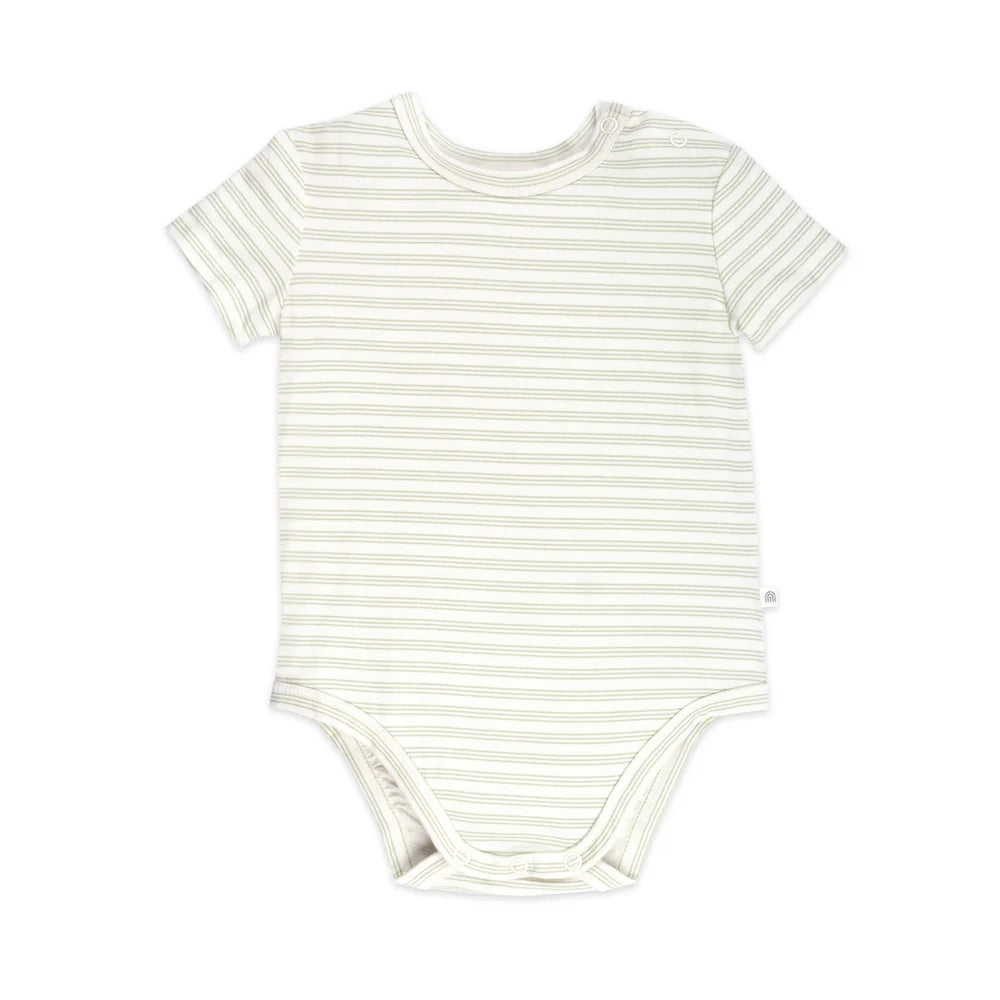 Comfy Bodysuit S.S - Sage Stripe -