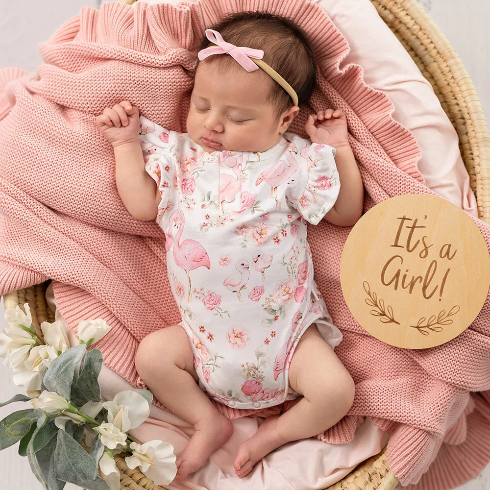 Snuggle Hunny Flamingos Short Sleeve Organic Bodysuit with Frill