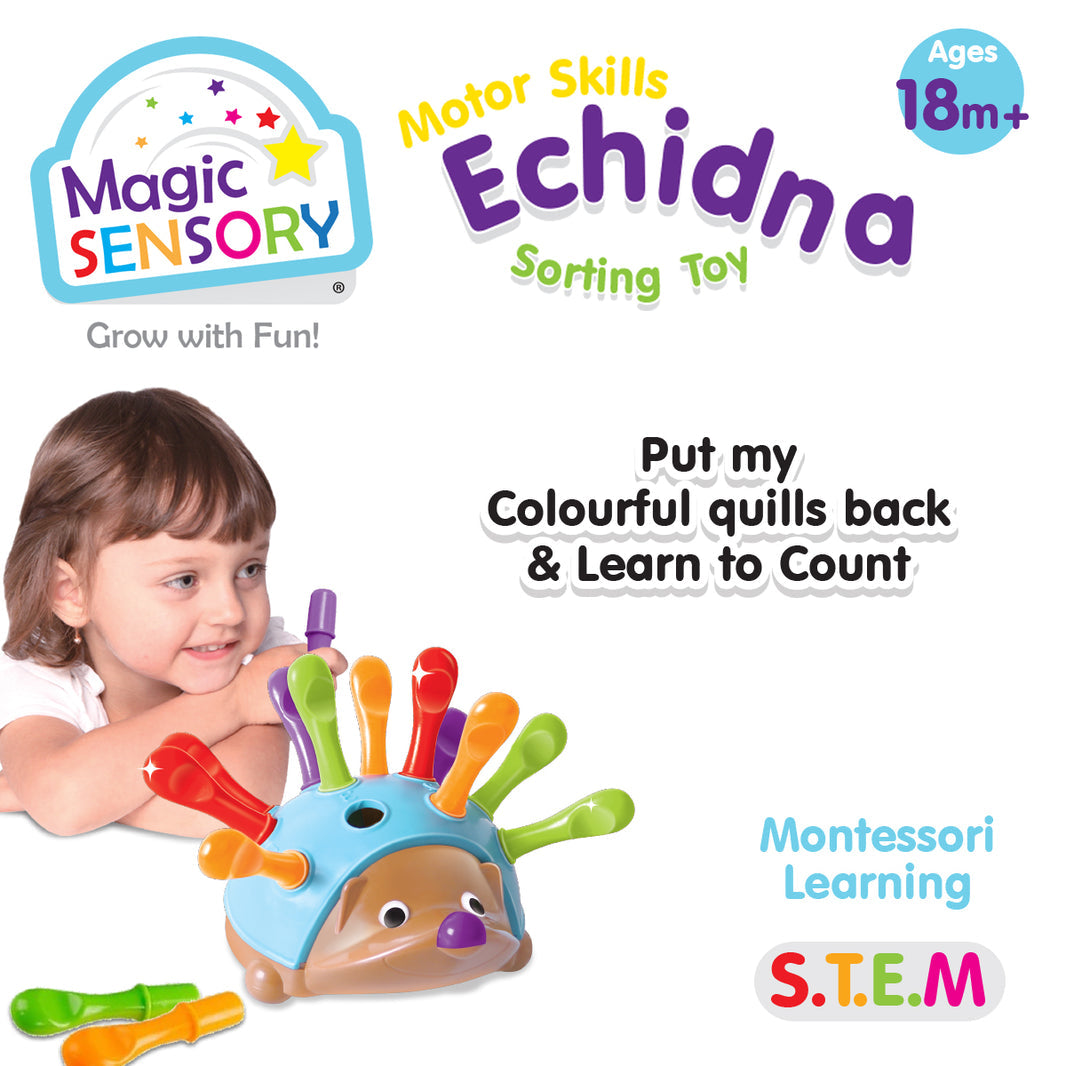 Fine Motor Skills Echidna