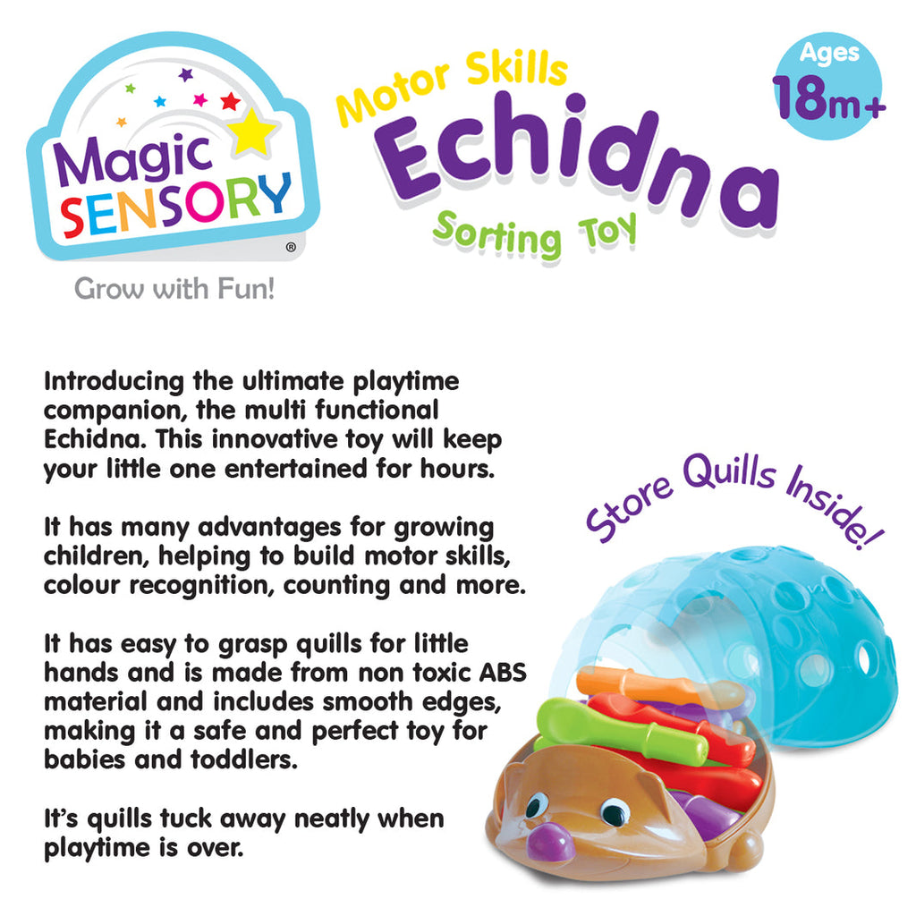 Fine Motor Skills Echidna