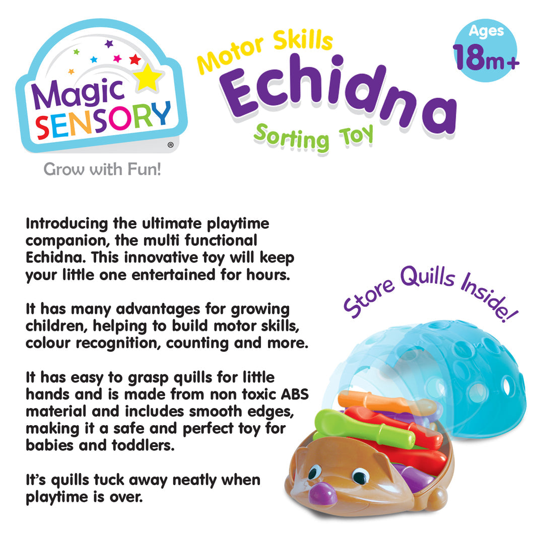 Fine Motor Skills Echidna
