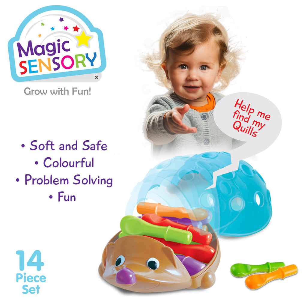 Fine Motor Skills Echidna