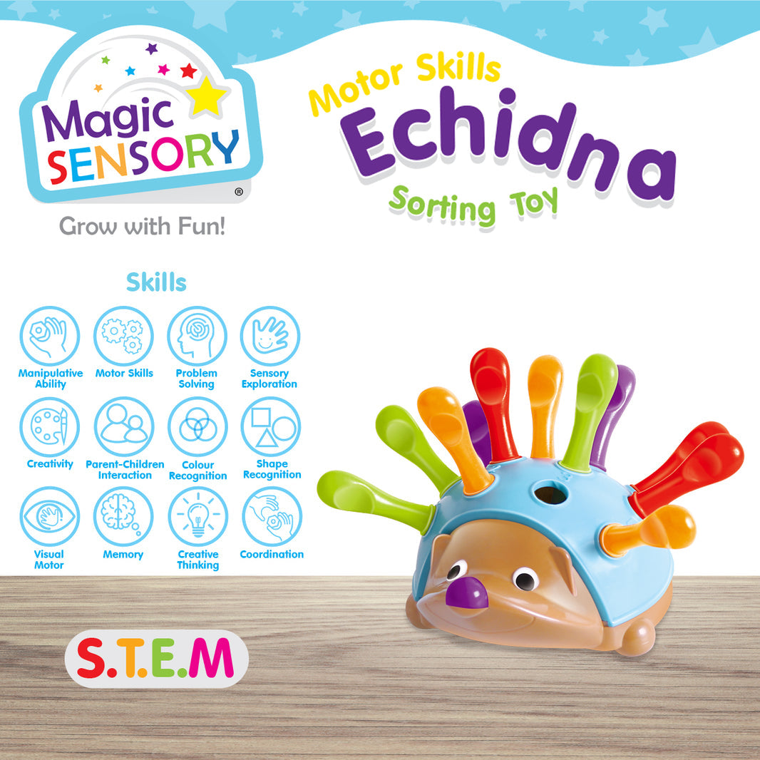Fine Motor Skills Echidna
