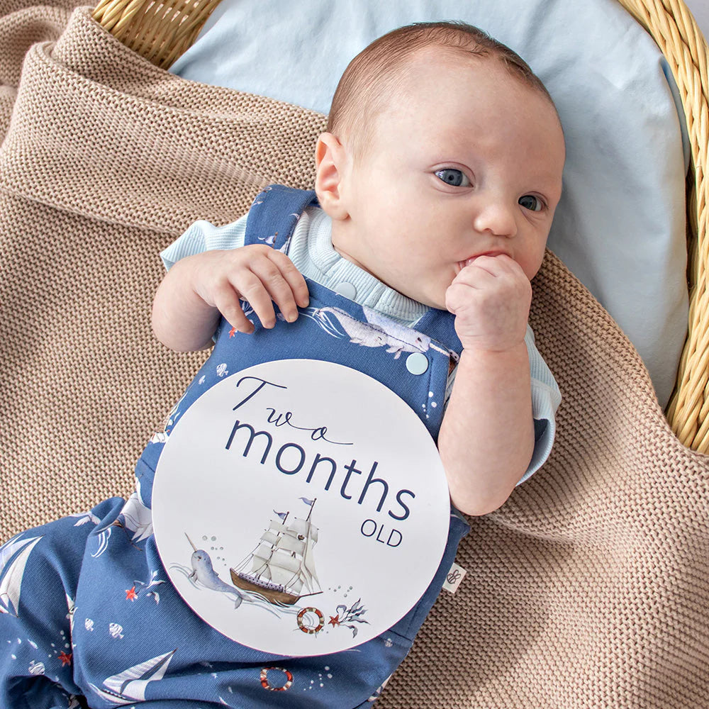 Snuggle Hunny - Reversible Milestone Cards - Set Sail