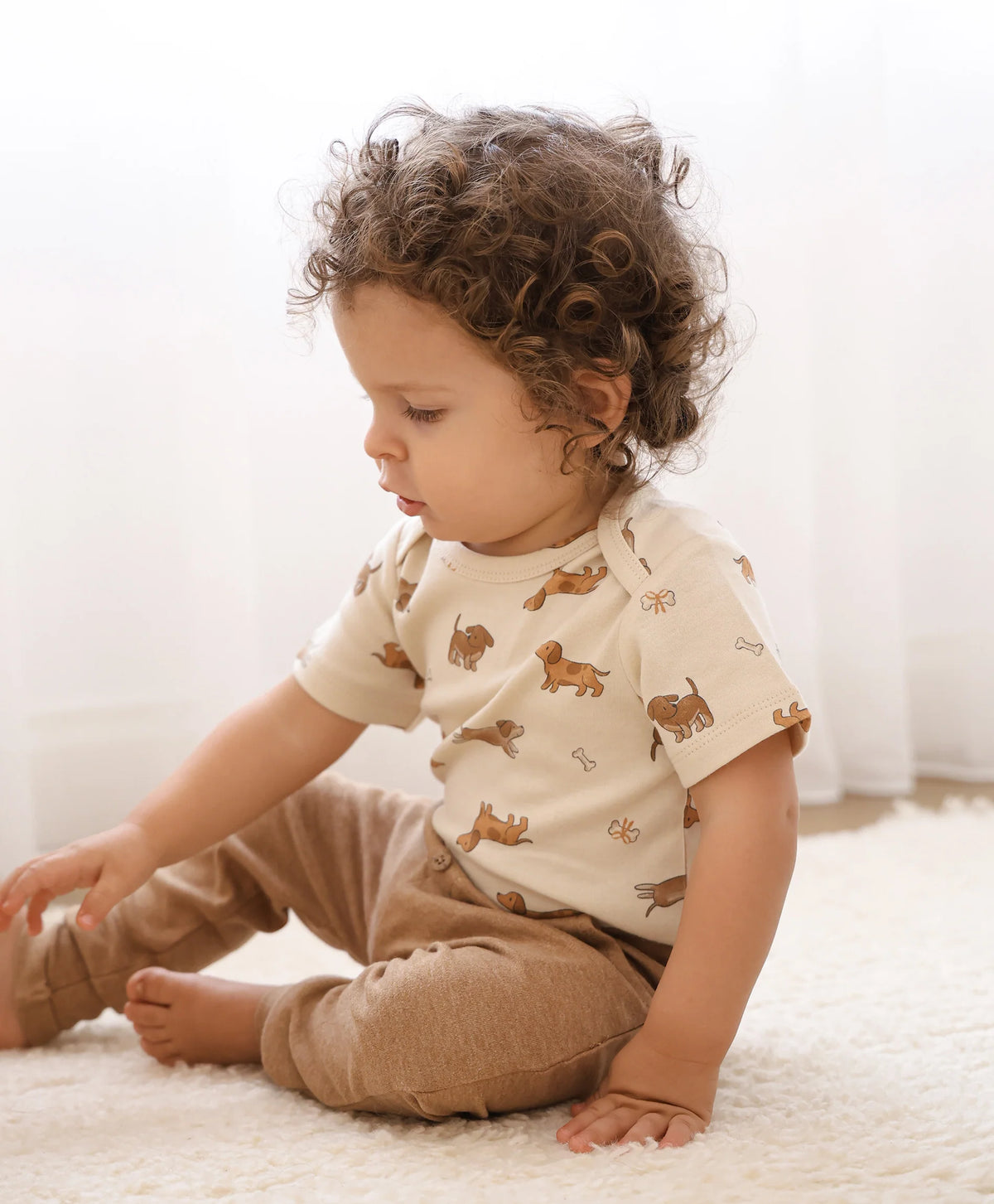 Organic Cotton Short Sleeve Bodysuit - Dachshund Dog
