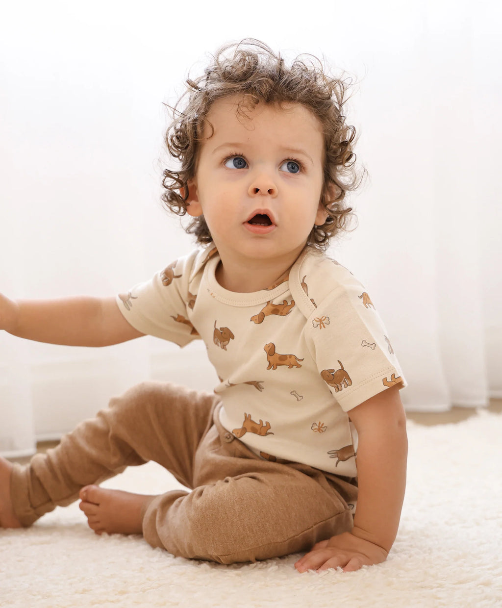 Organic Cotton Short Sleeve Bodysuit - Dachshund Dog