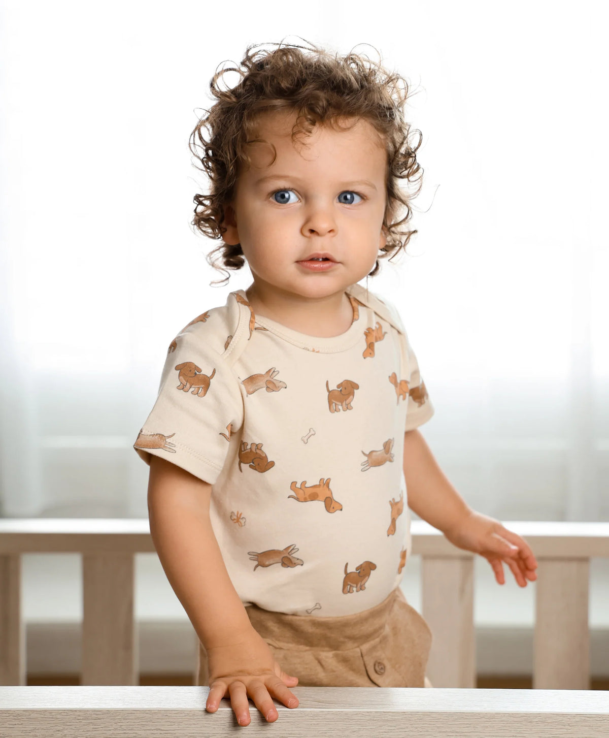 Organic Cotton Short Sleeve Bodysuit - Dachshund Dog